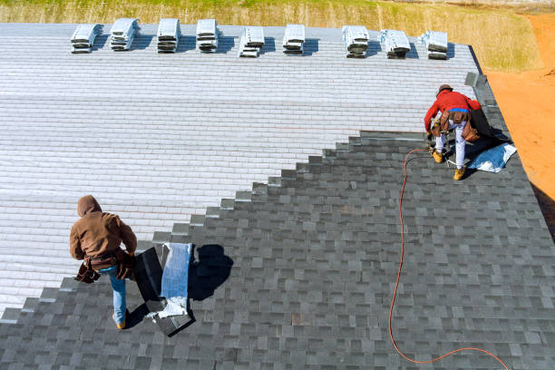 Quick and Trustworthy Emergency Roof Repair Services in Vineyards, FL
